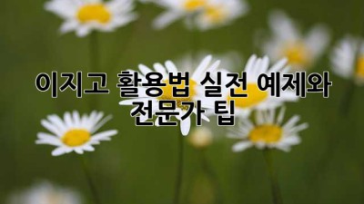 이지고 활용법: 실전 예제와 전문가 팁